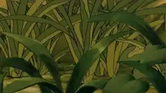 Чип и Дейл спешат на помощь (сериал 1989 – 1990) 2 сезон 3 серия